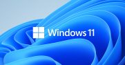 Windows 11 Bloom + Logo