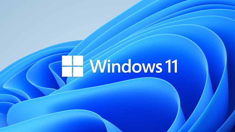 Windows 11 Bloom + Logo