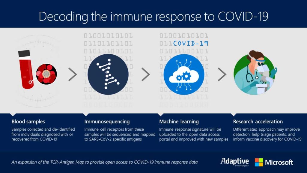 Infographic showing decoding the immune response to COVID-19