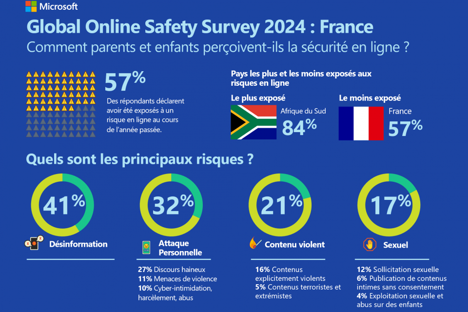 Visuel Infographie Global Online Survey 2024 France