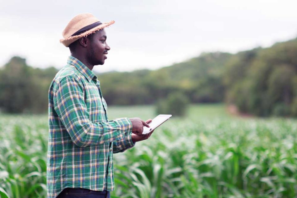 A farmer using a tablet device to keep data records of his crops.