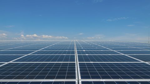 Solar panels in a grid on a flat plain