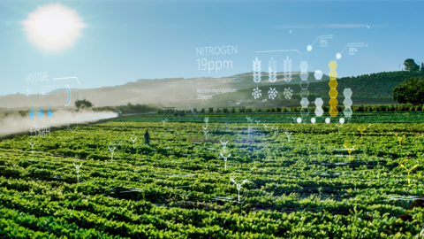 Photo illustration of FarmBeats in field
