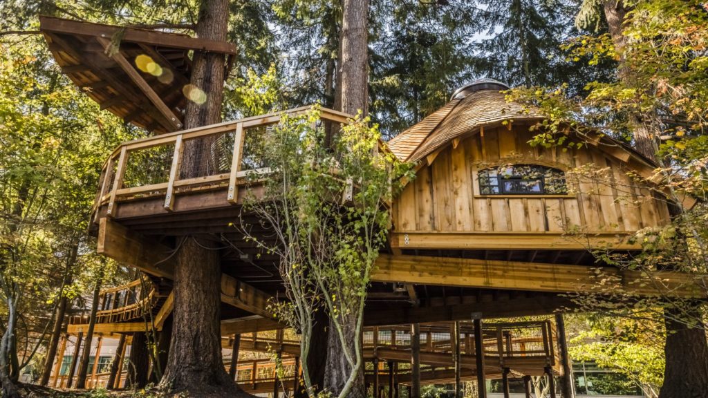 a treehouse from a microsoft campus