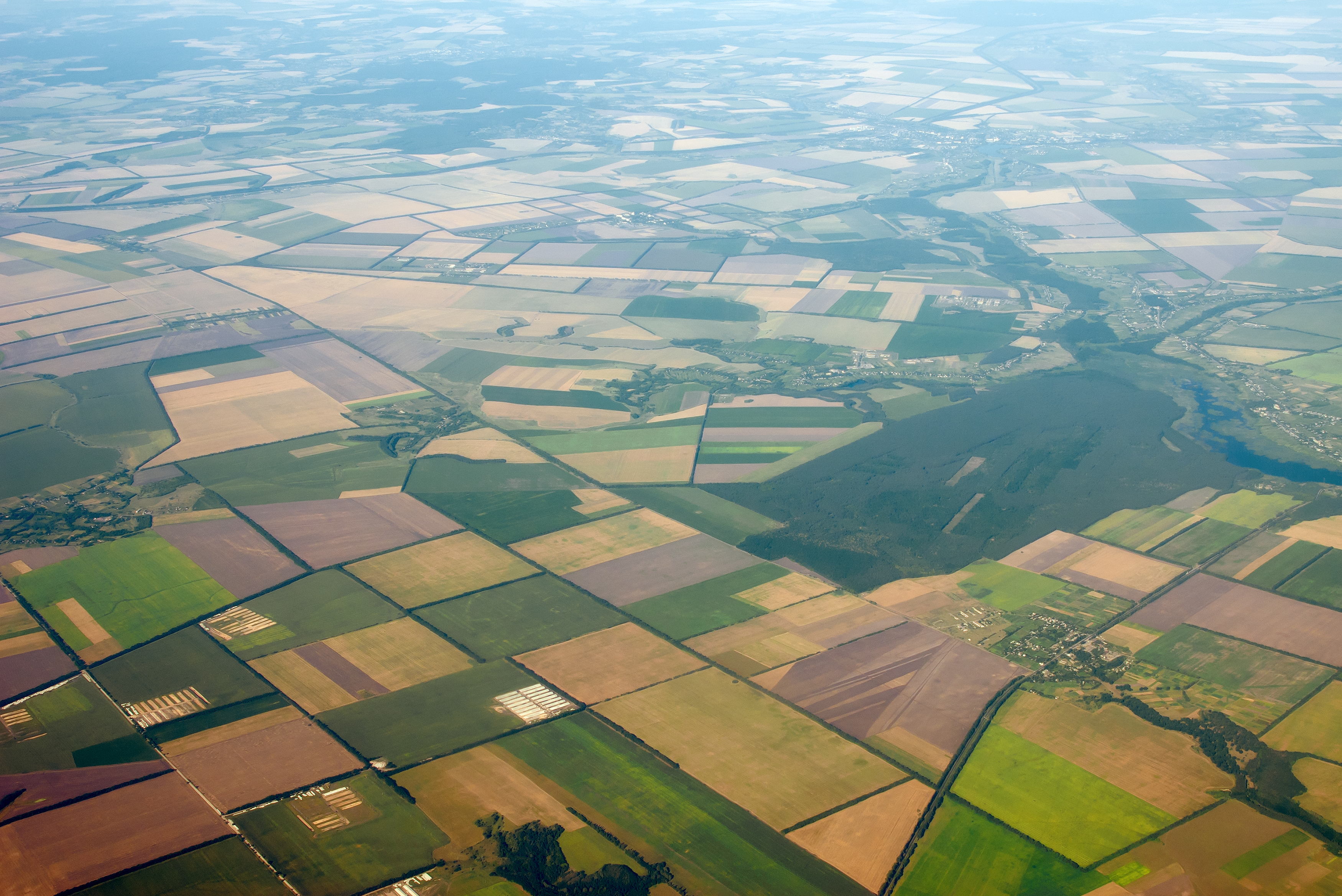 Land O Lakes How innovation can feed the world Transform