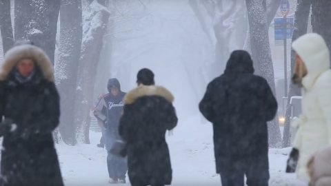 People in heavy coats walk outside on a snowy day.