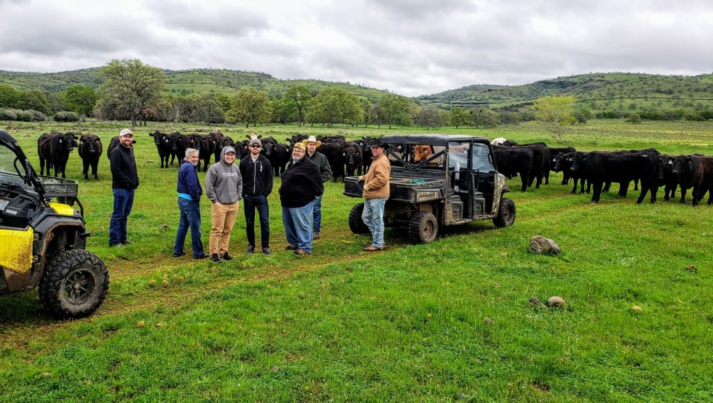 Photo of seven people, mostly ButcherBox employees, standing a ranch between two farm vehicles, with a herd of black cows in background