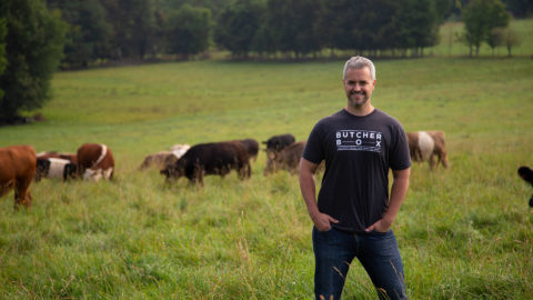Image of Mike Salguero, the founder and CEO of ButcherBox, standing in a field with cows in background
