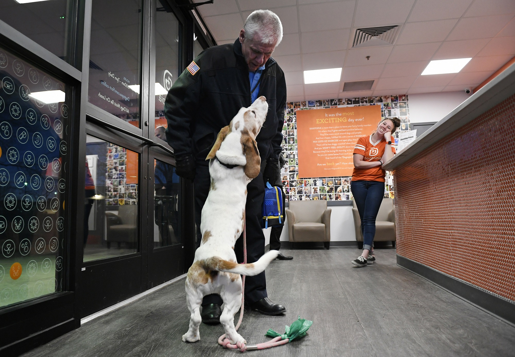 Bongo Billy, a basset hound, jumps with his front paws onto his 'pet parent' during evening pickup in the franchise lobby. 