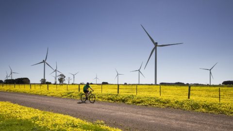 A wind farm in Australia.