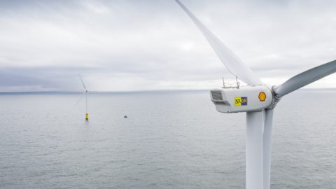 Wind turbines at Noordzee wind farm off the Dutch coast.