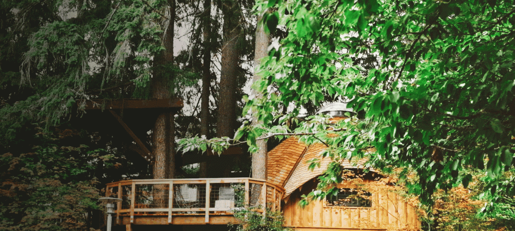 Treehouse nestled into the branches of a large Douglas fir, leaves and branches rustle in the wind