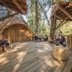 Employees can collaborate and connect with nature in an outdoor meeting space located in a treehouse at Microsoft’s Redmond campus