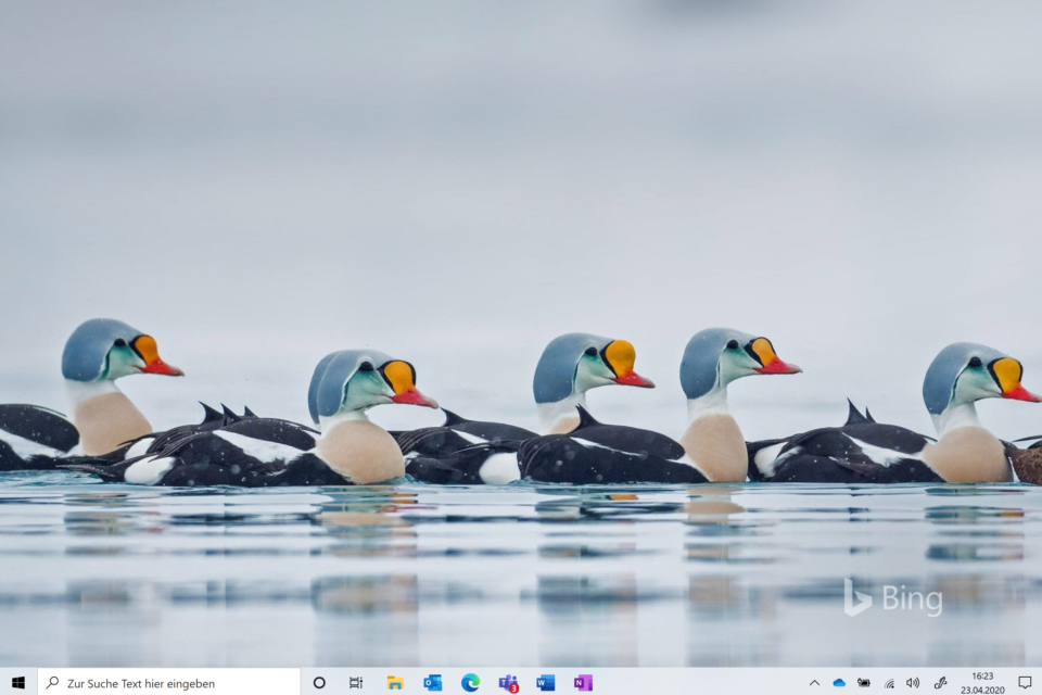 Window 10 Desktop mit einem Bing Wallpaper als Hintergrund.