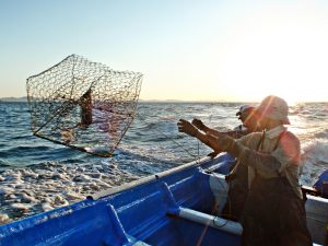 Pescadores en el Golfo de Baja California
