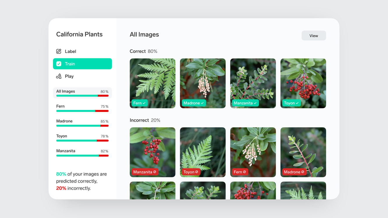 Captura de pantalla de la aplicación Lobe que muestra una cuadrícula de fotos de plantas
