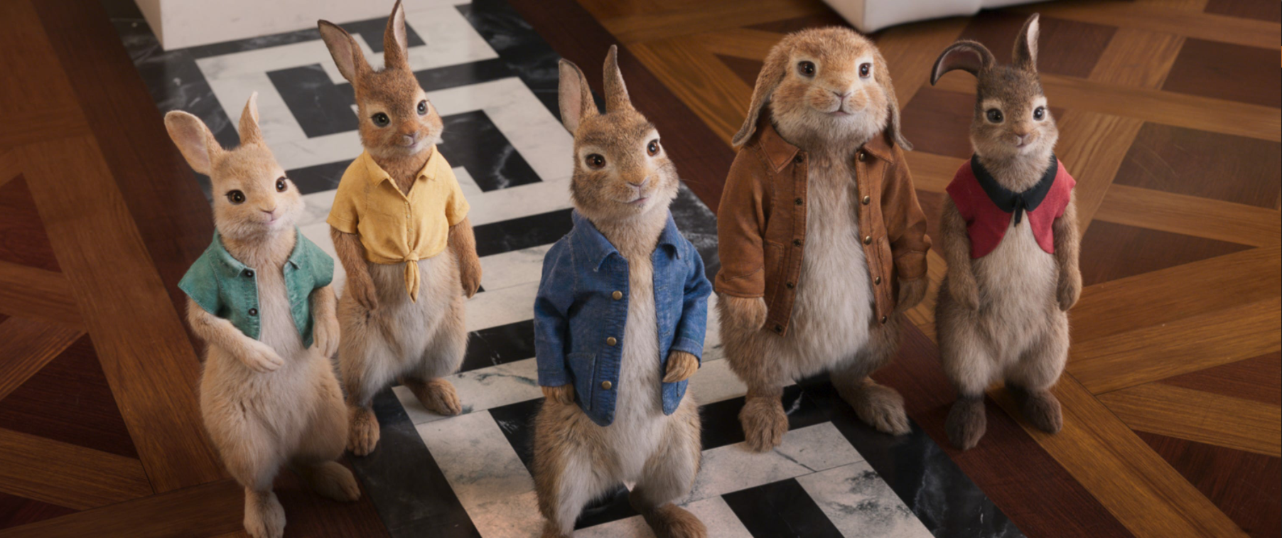 Включи про кролика. Кролик Питер 2 / Peter Rabbit 2: the Runaway (2021). Peter Rabbit (2018). Кролик Питер 2 свадьба.