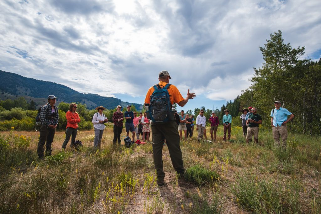 Un grupo de miembros del personal de la National Forest Foundation está parado en un bosque mientras escucha a un líder de grupo