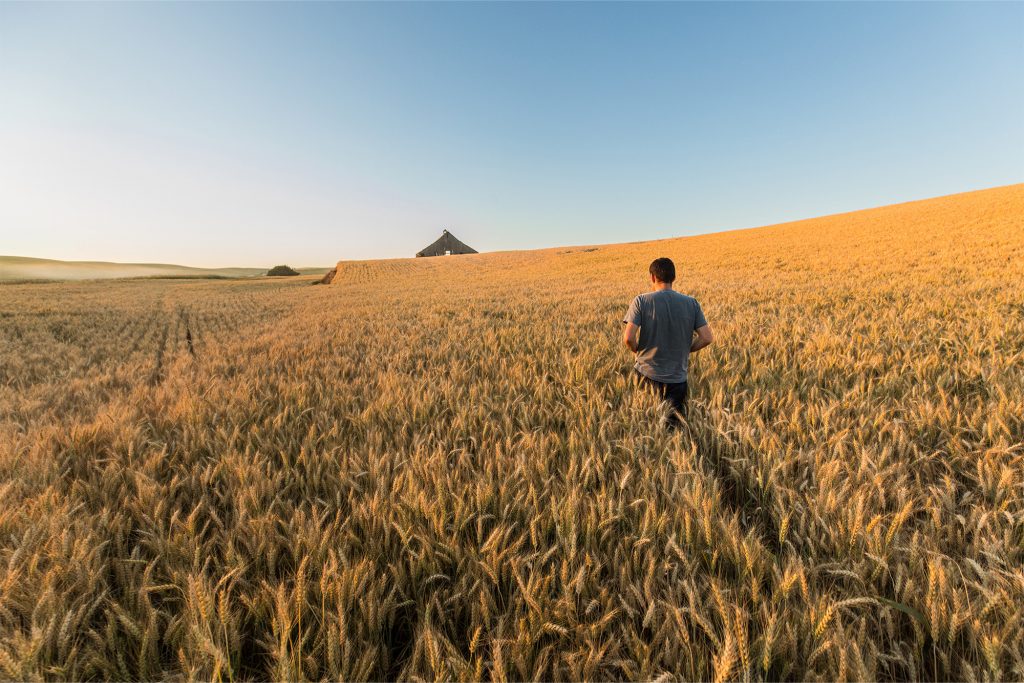 Un hombre parado en un campo. Foto: Agrimanager