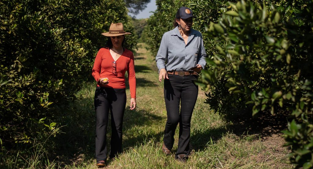 Dos mujeres en un campo de naranjos en la zona rural del estado de Sao Paulo, Brasil.