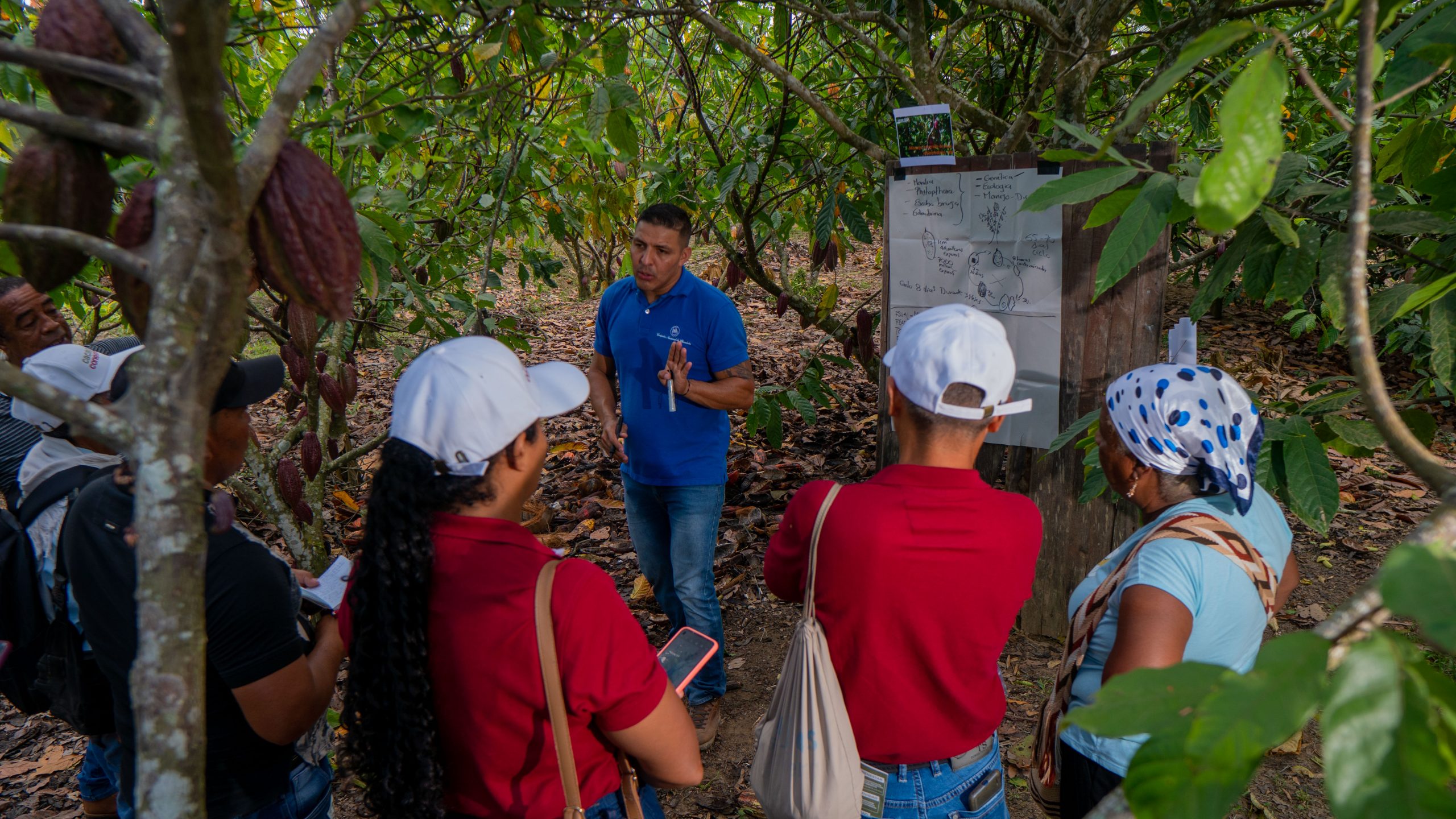Cacao Conecta: la alianza para impulsar la conectividad, la productividad y el desarrollo de capacidades para más de 300 familias cacaoteras en el Urabá antioqueño