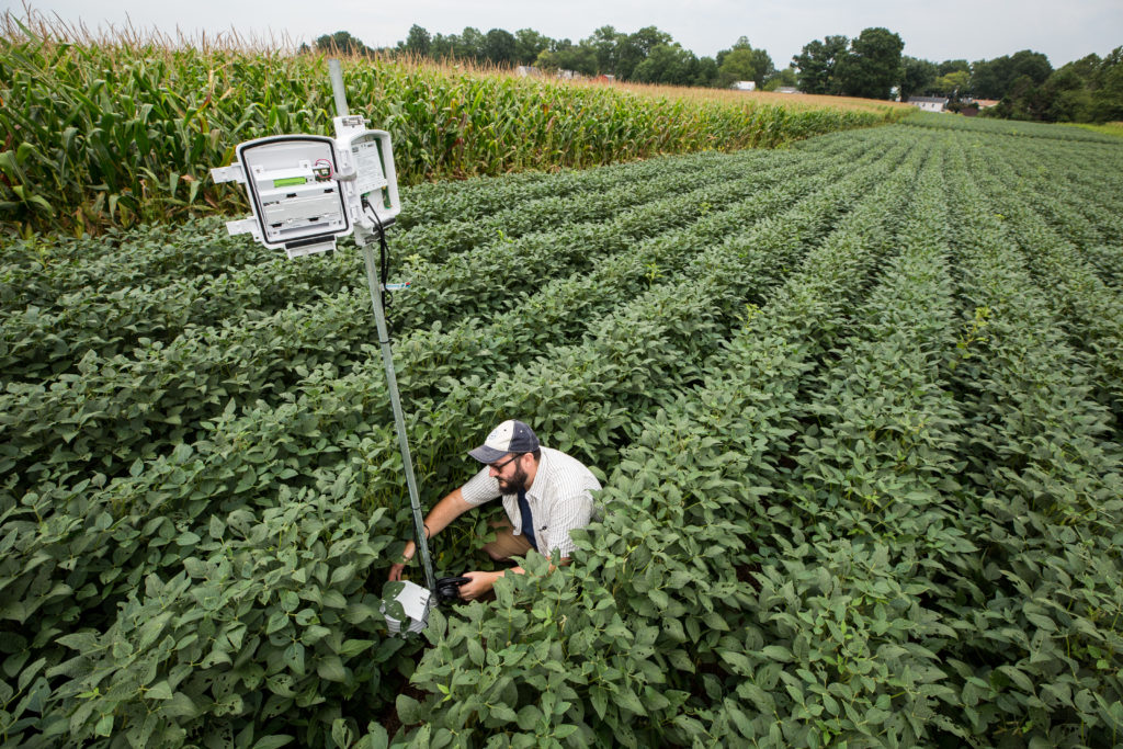 Agriculçtor observa sensores nos campos do projeto do USDA.