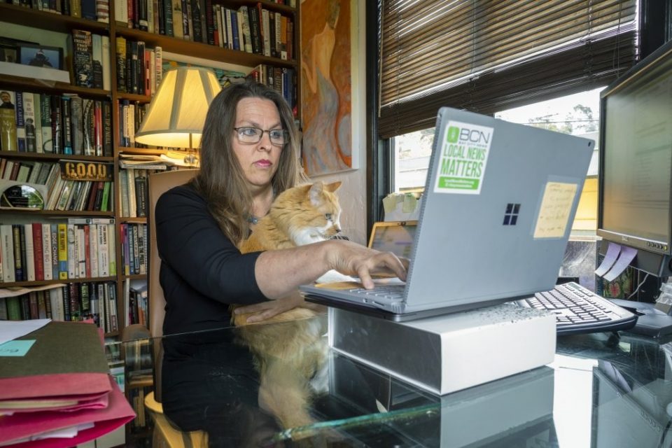 mulher com gato no colo sentada em uma biblioteca com note aberto