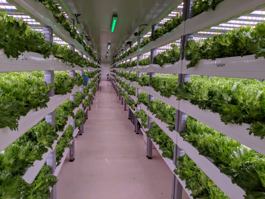 The Rise of Vertical Indoor Farming