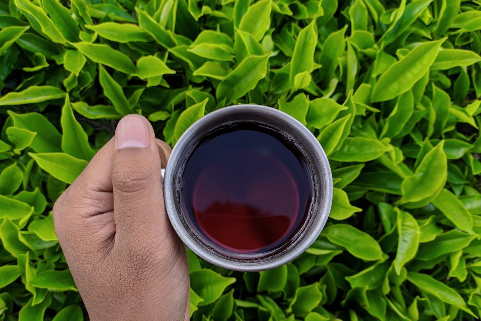 cup of tea in someone's hand