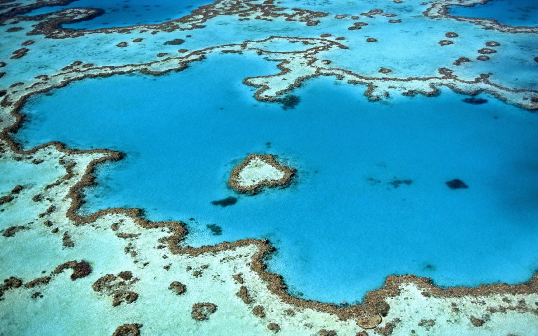 aerial view of coral reefs in the ocean