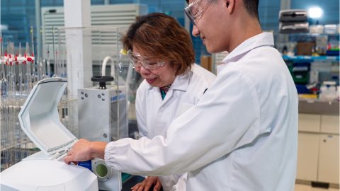 people working in a lab