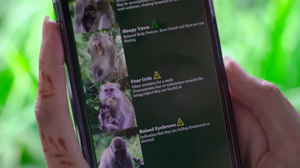 phone app that has various monkey facial expressions