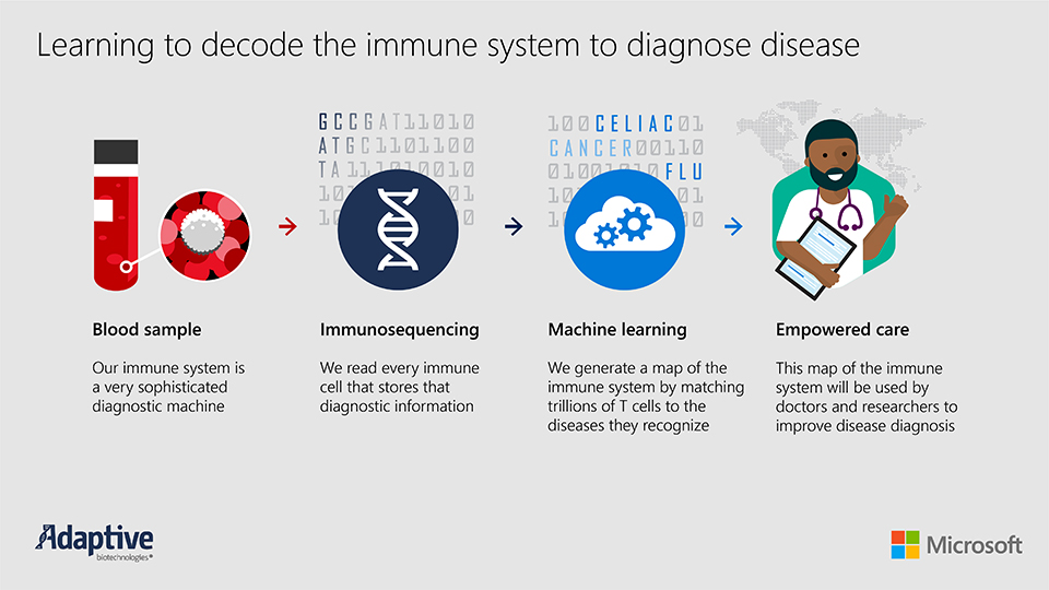 an infographic that shows how Adaptive Biotechnologies and Microsoft are working to decode the immune system to diagnose disease. The process starts from the blood sample (our immune system is a very sophisticated diagnostic machine). In immunosequencing we read every immune cell that stores diagnostic information. We generate a map of the immune system by matching trillions of T-cells to the diseases they recognize. This map of the immune system will be used by doctors and researchers to improve disease diagnosis.