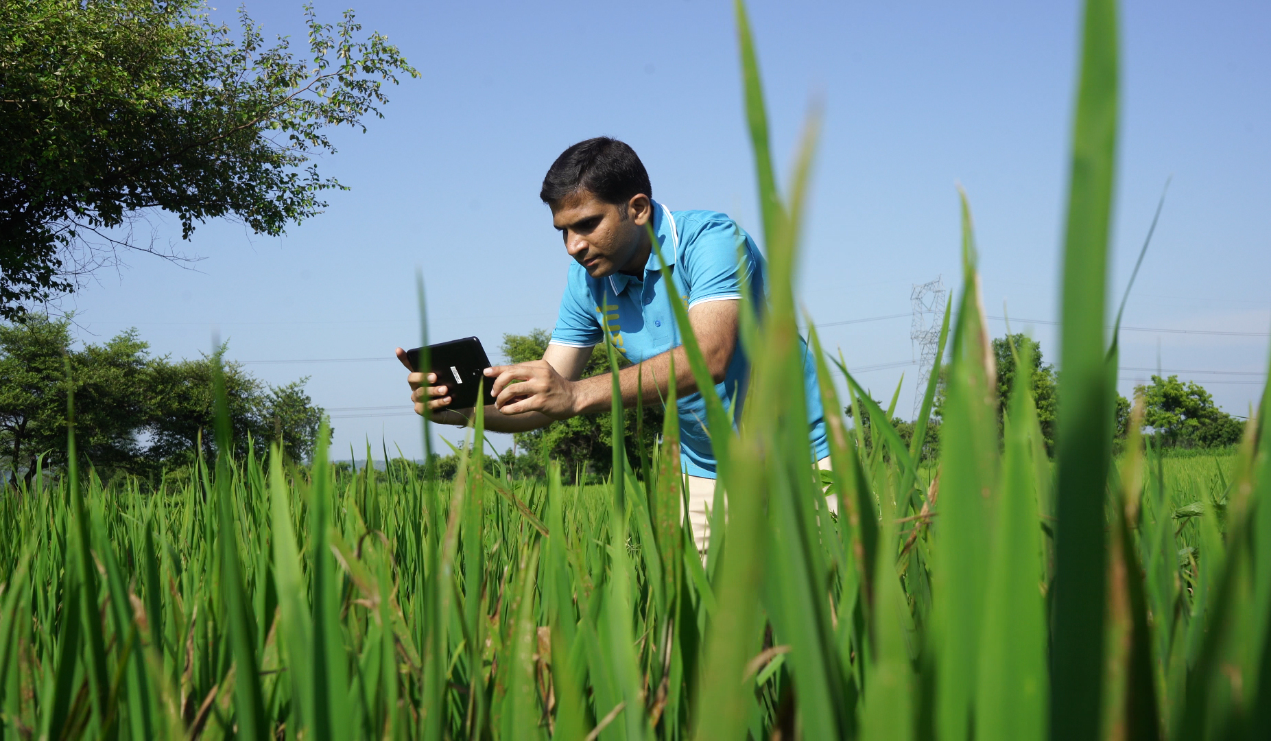 a man in a farm holding a tablet and analyzing the crop