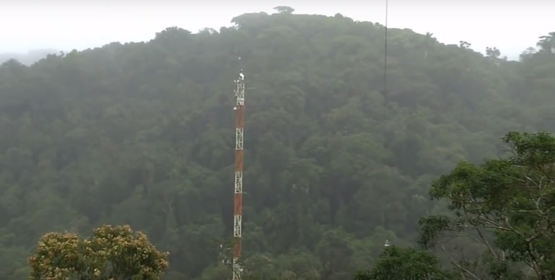 Atlantic Rainforest Sensor Net Research