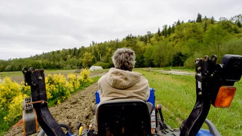 Фермер Шон Стрэтмен (Sean Stratman) едет на тракторе по своей ферме в Карнейшен, штат Вашингтон. Фото: Майкл Виктор