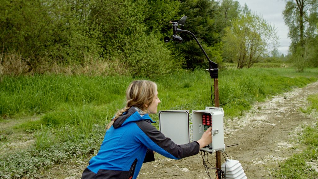 Зерина Капитанович, инженер FarmBeats, проверяет наземные датчики FarmBeats на ферме Dancing Crow. Фото: Майкл Виктор