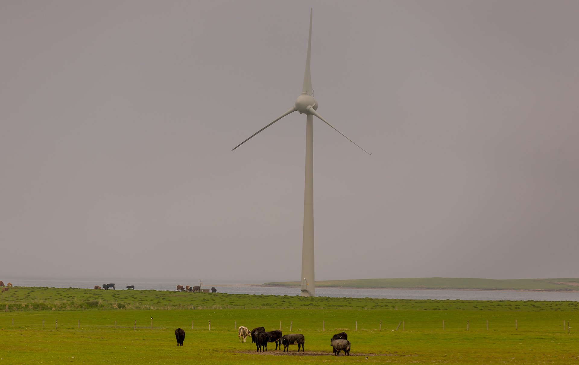 Ветряные энергетические установки – часть пейзажа Оркнейских островов. Фото: Скотт Эклунд/Red Box Pictures.