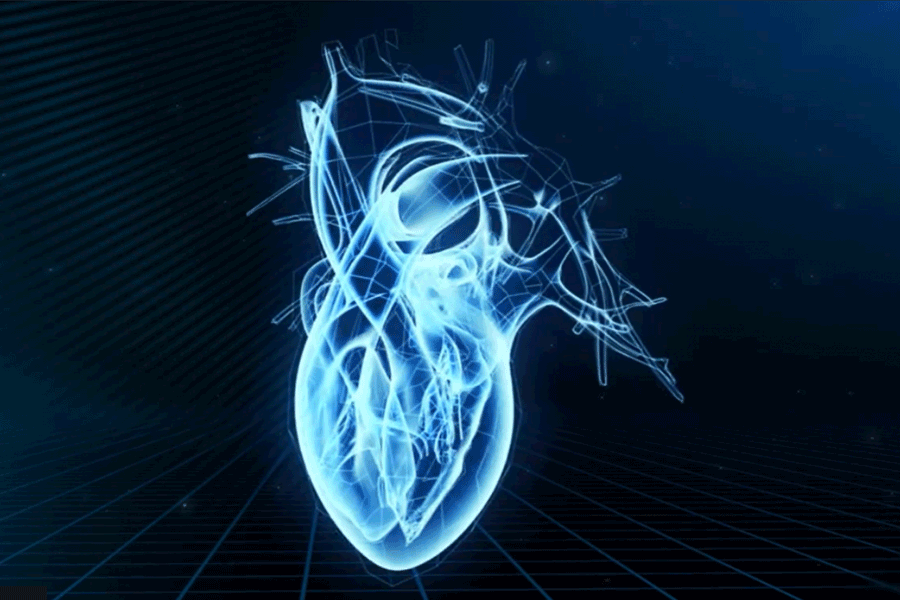 Стилизованное изображение сердца
