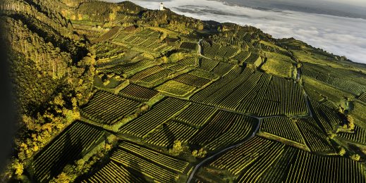 Нижняя Австрия, один из главных винодельческих регионов страны, простирается к северу и западу от Вены. Фото предоставлено Руди Хофманном.