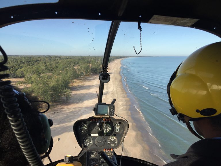 人里離れた浜辺をスキャンしてカメと捕食動物の足跡を探すヘリコプター (写真: APN Cape York のアーカイブより)