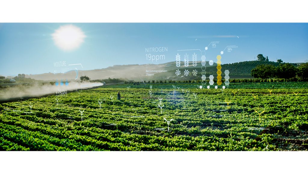 Photography depicts Microsoft's FarmBeats technology uses AI and IoT to help increase farm productivity.