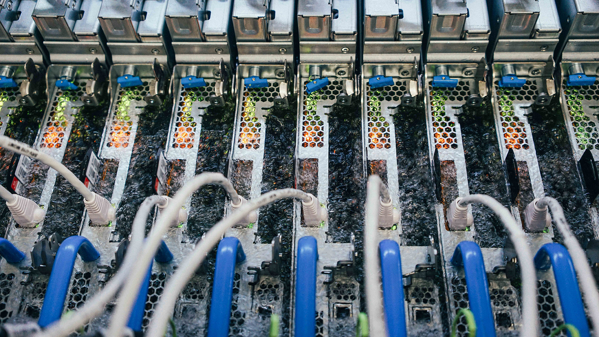 Server blades immersed in a bubbling two-phase immersion cooling tank