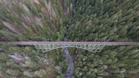 A bridge over a river in a forest
