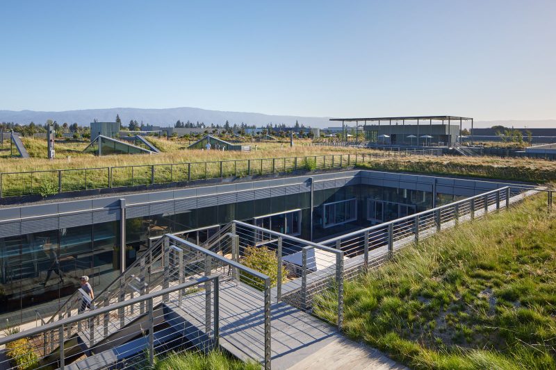 Green roof of the Silicon Valley Campus