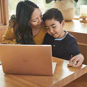 A mother and son work at a computer