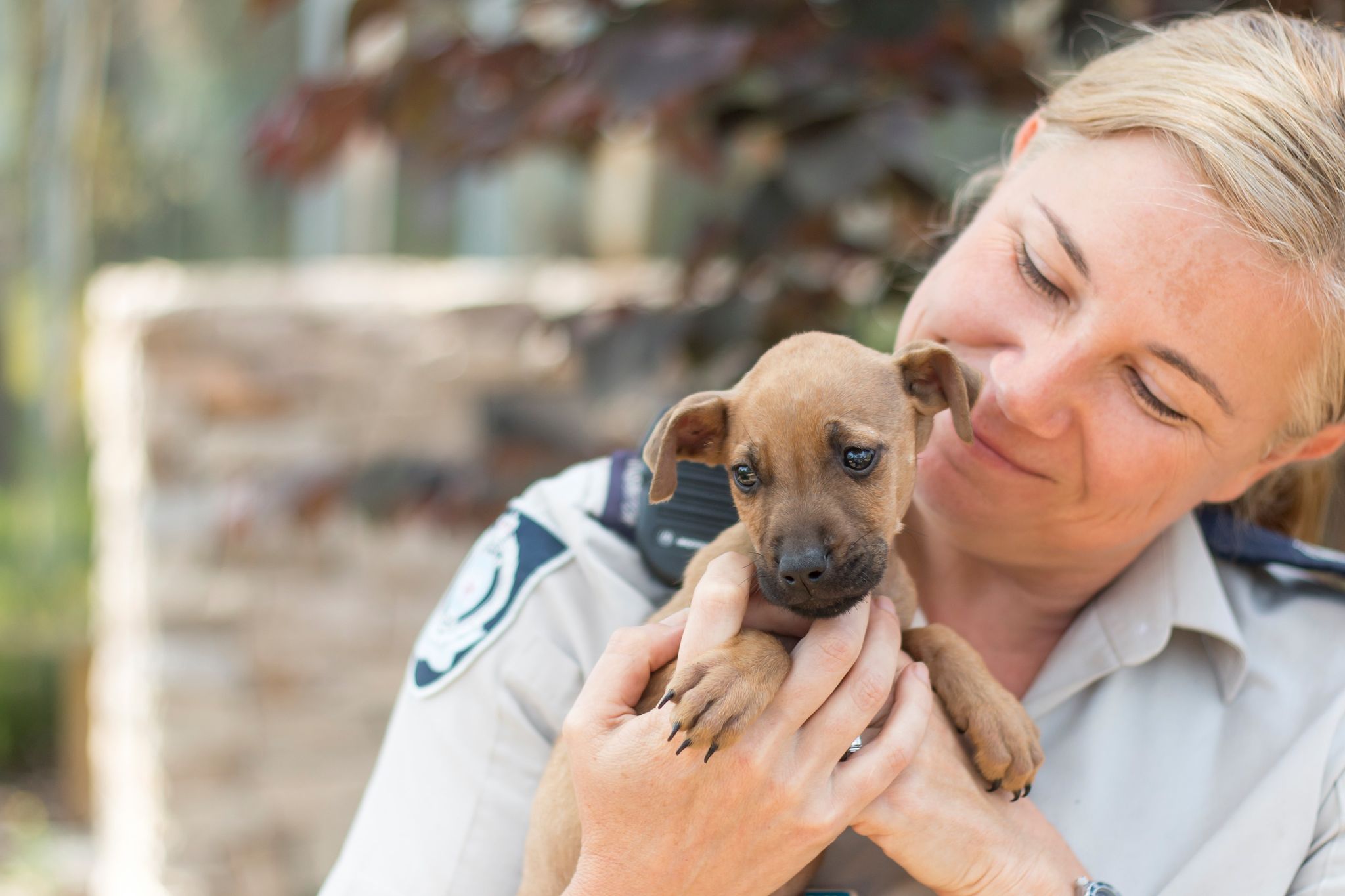 Rescue worker holding a small rescue puppy
