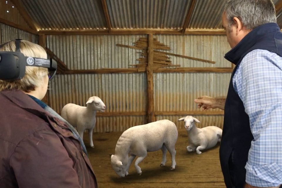 Educating farmers about emergency animal diseases with augmented reality