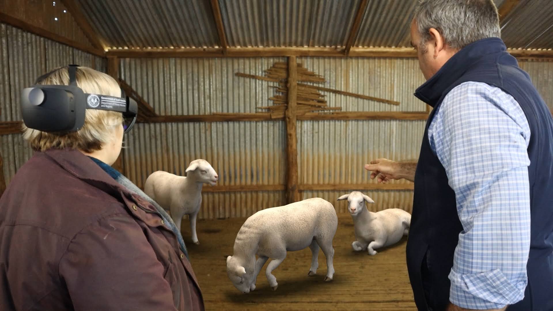 Educating farmers about emergency animal diseases with augmented reality - Microsoft