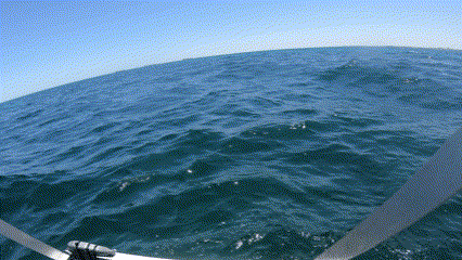 GIF of a camera being deployed to the sea floor
